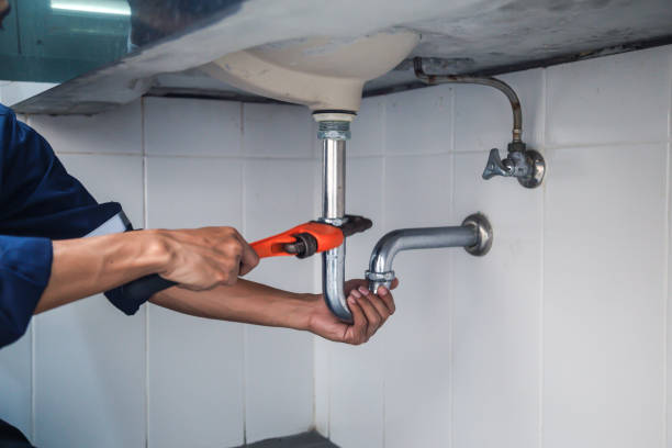 Best Plumbing Inspection Services  in Landing, NJ